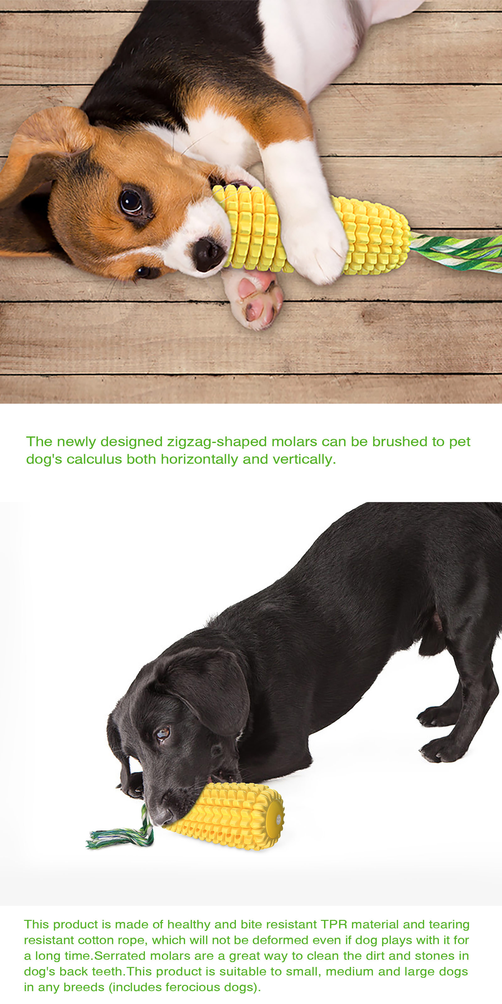 Toxic Free Squeaky Dog Toys TPR Chew Toys For Aggressive Chewers
