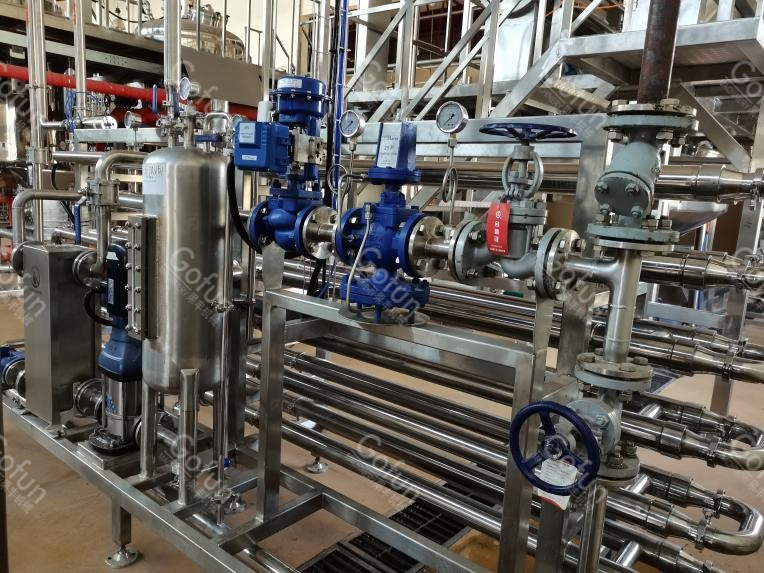 Industrial Turnkey Mango Processing Line With Destoning Removing System