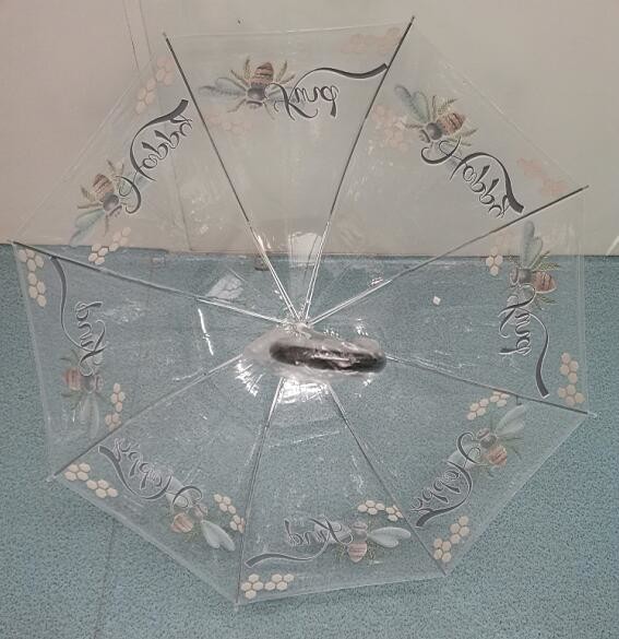TUV Automatic Open Clear POE Kids Compact Umbrella 100cm