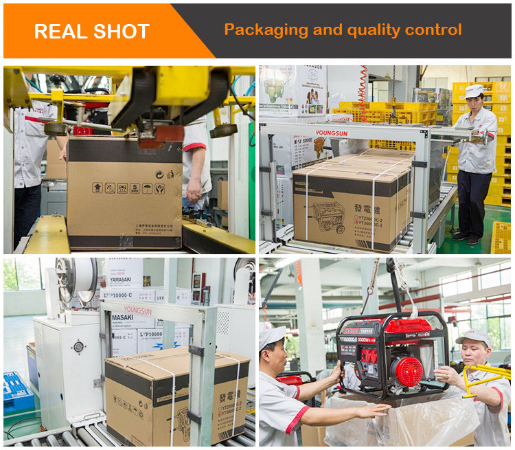 220V Dynamo Electric Start 5.5KW Single Phase Generator Set with IP23 Protection Class