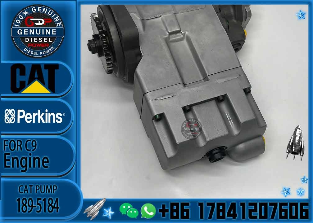 Diesel engine fuel Pump 189-5184 10R-8899 476-8766 20R-1649 for C7 C9 Excavator