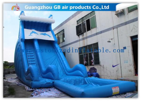 Blue Dolphin Inflatable Rental Water Slides Bounce House For Big Kids /