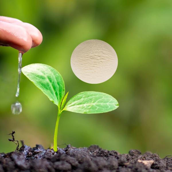 Natural Protein Amino Acid Powder 40% Drip Irrigation Flush Spray For Agricuture