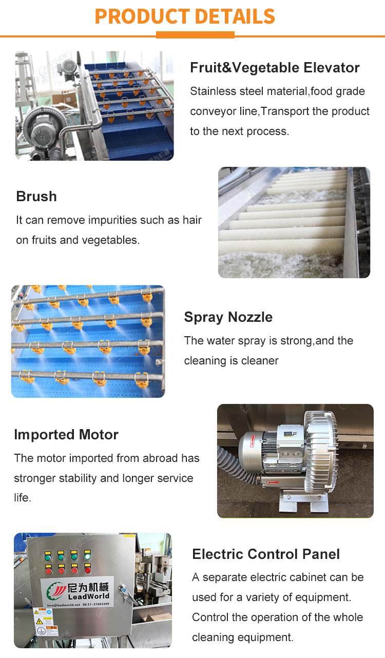 Leafy Vegetables And Fruits Cleaning Lettuce Washer Potatoes Washing Machine