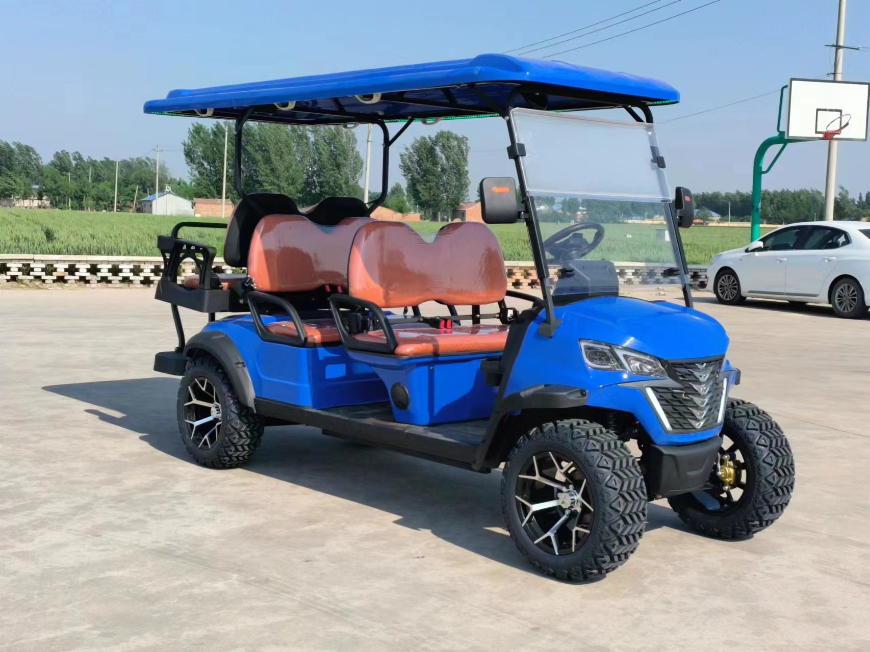 Personal Customized 6 Seater Golf Cart CE Certificates 4 Wheel Battery Powered Electric Golf Buggy