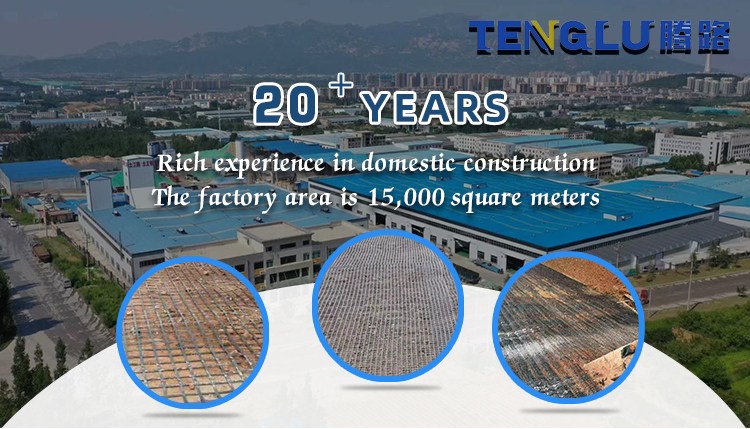 Easier Construction of 1-6m Soil Stabilization with Black Steel PP Composite Geogrid