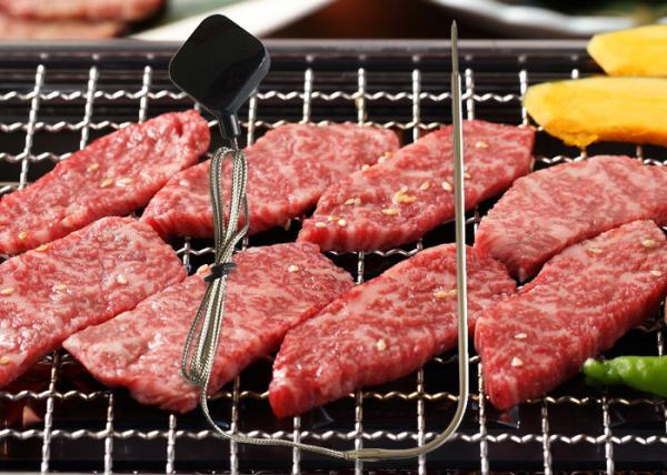 Stainless Steel Cable Bluetooth Probe Thermometer Wireless Cooking Android