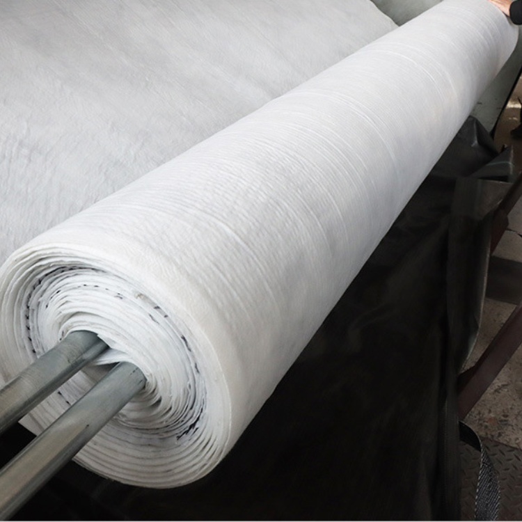 density Polyethylene Plastic Geocomposite Drain Modern Design 6mm Thickness for Highways