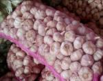 Fresh Garlic Packing Pp Fruit Pink Mesh Drawstring Bag Made of 100% PP/PE Material