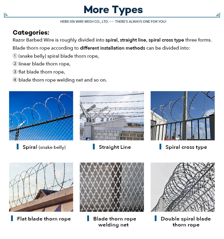 Hot Dip Galvanized razor wire cbt60 Standard Export Packaging