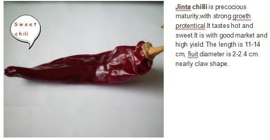 Granule Dried Guajillo Chili Single Herb Dehydrated Spicy Red Paprika