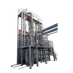 Fresh Tomato Paste Processing Line Automatic High Capacity