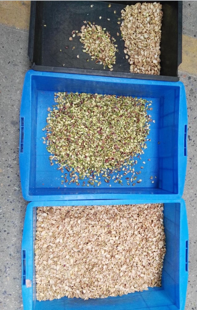 2020 Hot Sale Pistachios Color Sorting Forming Machine,Pistachio Nut Separating Machine