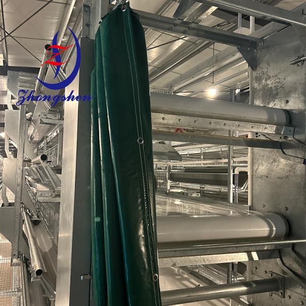 Quality PP Manure Belt Polypropylene Manure Transfer Belt For Chicken Farms for sale