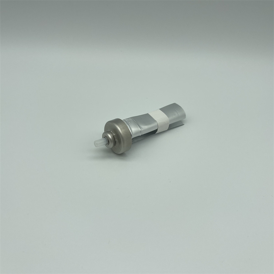 Male Aerosol Bag On Valve For Improved Product Delivery