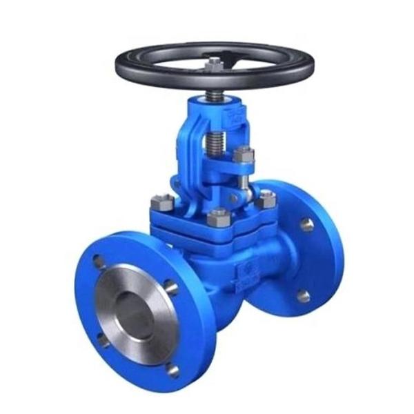 DIN GS-C25 Cast Iron globe valve (WJ41H) DIN Standard GS-C25 Carbon Steel Flange