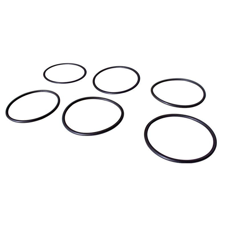 Mercedes BENZ Truck Parts A0239976448 Single Pump Oil Seal Upper O Ring Seal