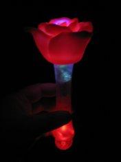 magic rose