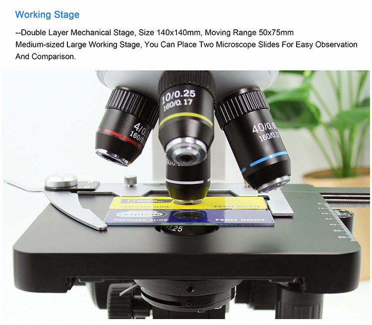 Four Holes Medical Infrared Thermometer Electronic Binocular Compound Laboratory Biological Optical Microscope