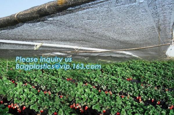 sun shade net,weel contol net,greenhouse film,fibc bag,Cheap Weed Control Fabric