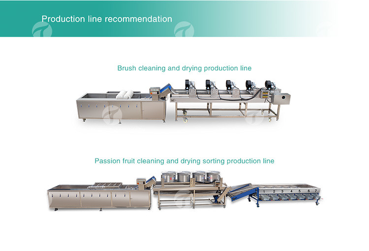 Tengsheng High Voltage Spraying Fruit And Vegetable Processing Line Industrial residual degradation