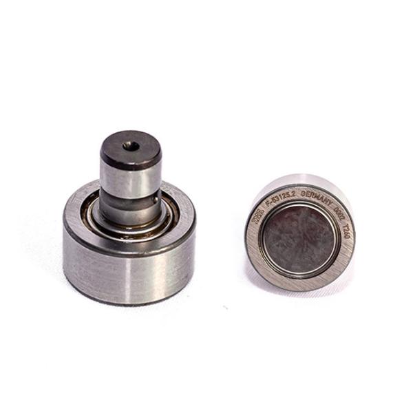 Silver Open Tooth Cylinder Bearing 00.550.0322 SM102 F-53125 Heidelberg Cam