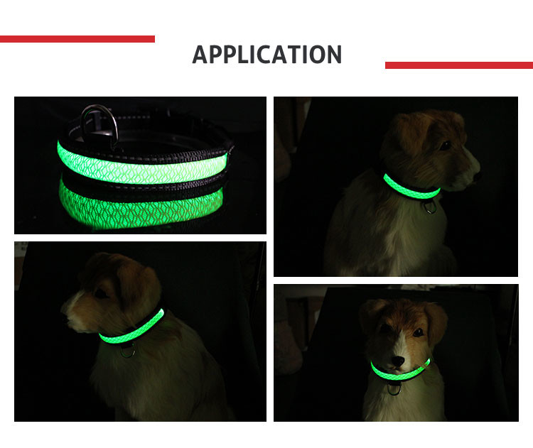 Flashing Luminous Adjustable Safety LED Dog Collar Lighted 2.5cm/1" X 51-61cm