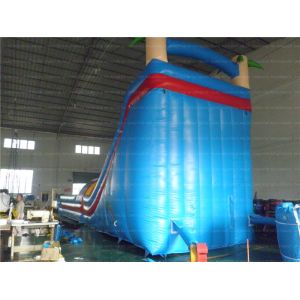 Combination Inflatable Slide (CYSL-46)