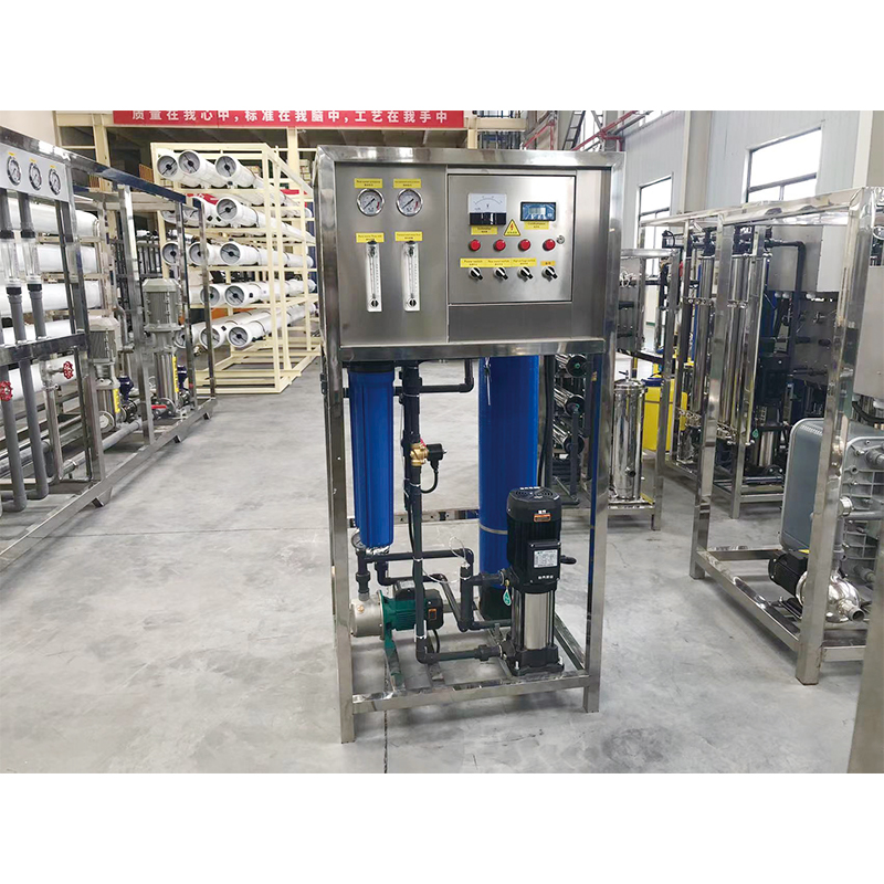 Stainless Steel 250L Reverse Osmosis System for Manufacturing Plant Water Treatment