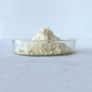 China wholesale rheumatism capsule root extract baikal skullcap in bulk on sale