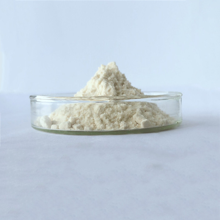 wholesale rheumatism capsule root extract baikal skullcap in bulk