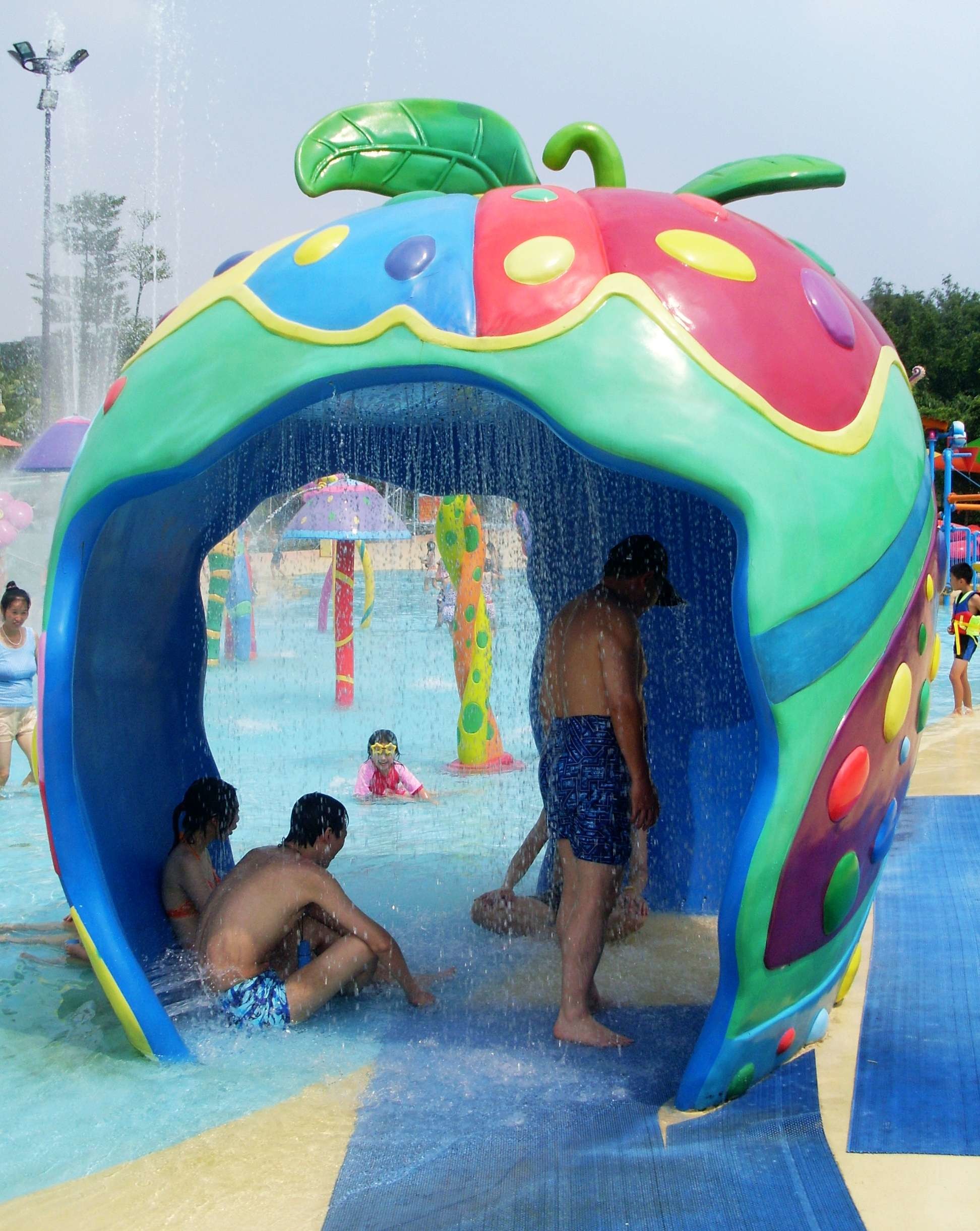 Customized Colorful Carp Spray Aqua Park Equipment For Children / Kids Fun in Swimming Pool