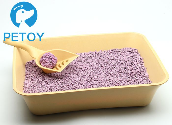 Home Use Pet Cat Litter Easy Clean Pets At Home Cat Litter Tray OEM Service