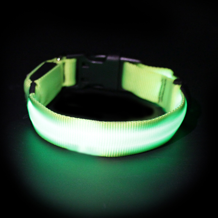 Customized LED USB Rechargeable Pet Dog Collar With Buckles Nylon Webbing