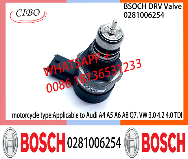 BOSCH DRV Valve 0281006254 Control Valve 0281006254 Applicable to Audi A4 A5 A6 A8 Q7, VW 3.0 4.2 4.0 TDI