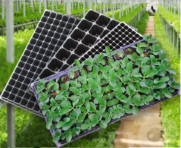 Plastic Growing tray Vegetable garden plants plastic polyethylene cell seed tray