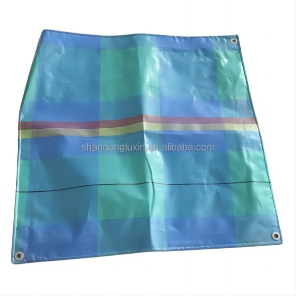 Waterproof Dustproof PE Tarpaulin in Blue Green Grid Shape for Covering Outdoor