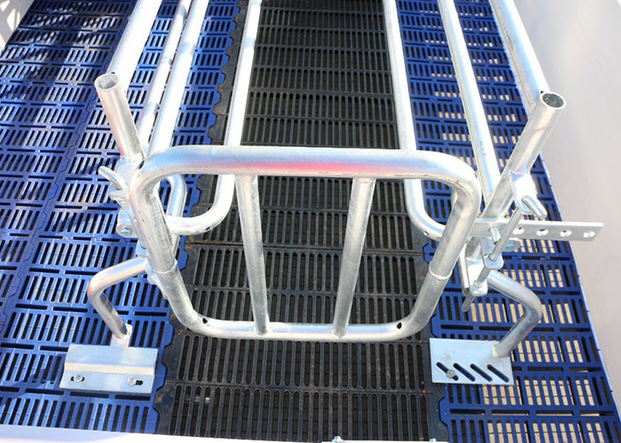 2.4*1.8m Pig Sow Farrowing Crate Pen