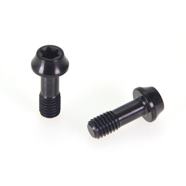 Black PVD Decorative Screws Non Standard Head Stainless Steel Screws Treated