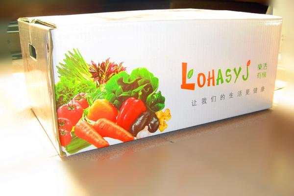 Hot Saleable Color Corrugated Carton box For Home Appliance
