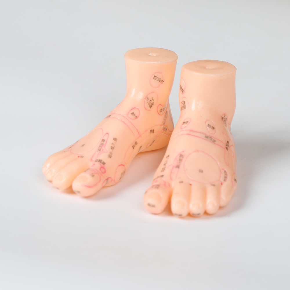 Chinese Acupuncture Body Model With Muscles 60/85/170cm