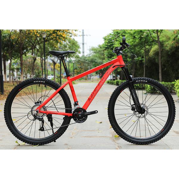 Teenager Christmas Gift 24 Speed Mountain Bike with Titanium Frame and Durable