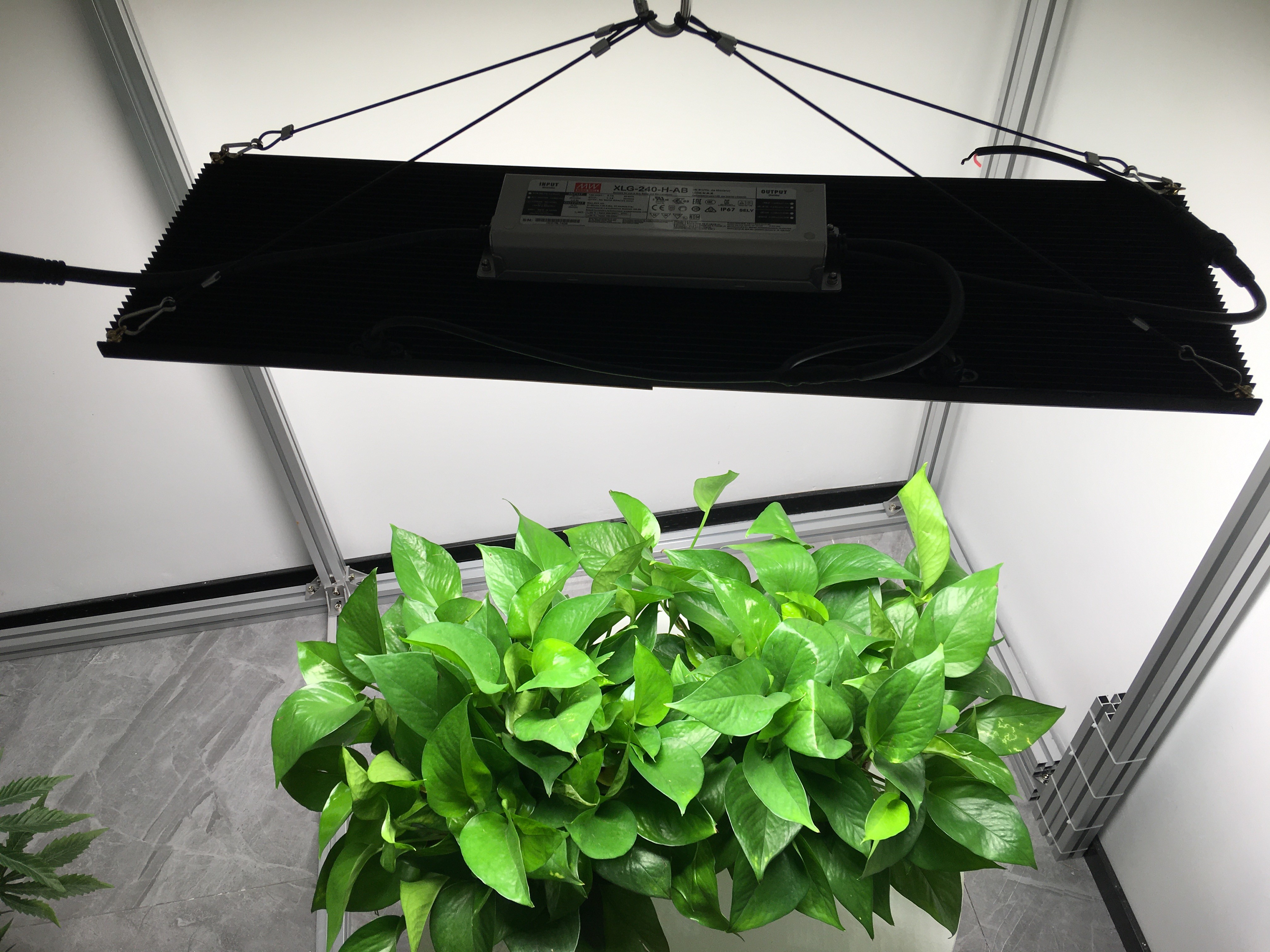 Ultraviolet 240W Samsung LM301B Quantum Board Grow Light
