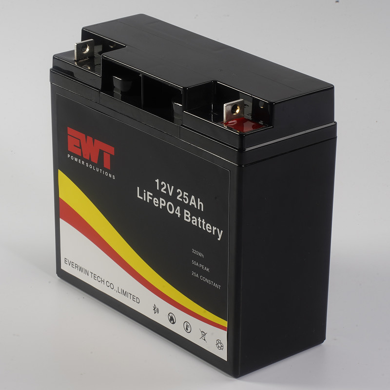 Lifepo4 Battery Pack 12V 25Ah Lithium Iron Phosphate Battery With Smart BMS