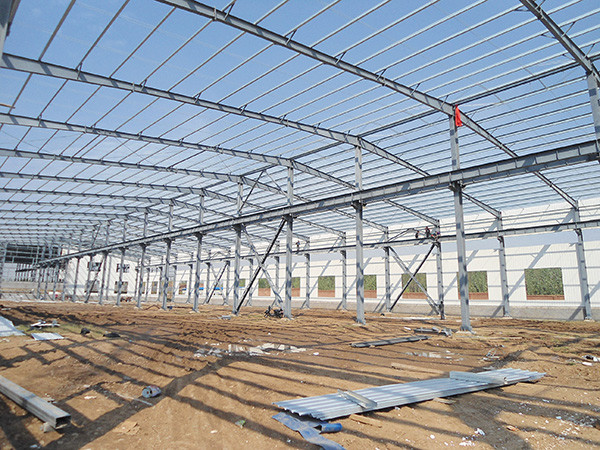 Custom Designed Steel Structure Building For warehouse and workshop Projects