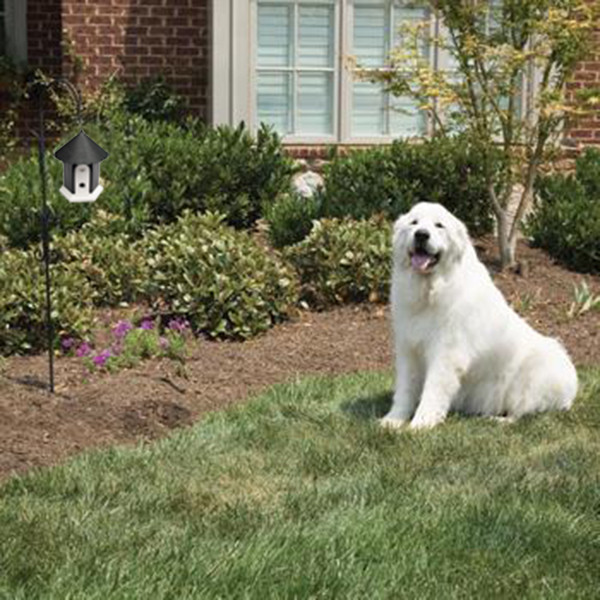 Bark Control Devices China Manufacturer Deter Nuisance Control Anti Barking House