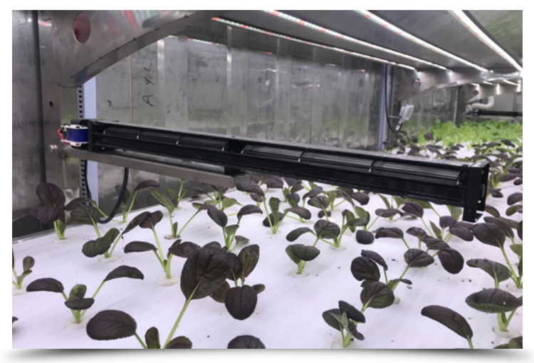 Temperature Climate Control 40 Foot Container Hydroponic Farm Greenhouse Agricultural Growing System