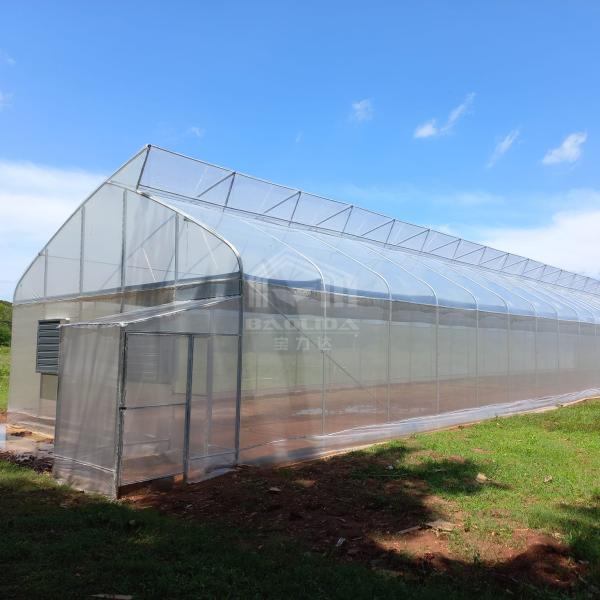 Polytunnel Hothouse Sawtooth Top Ventilation Tunnel Greenhouse For Plant