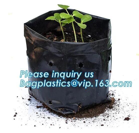 Wholesale Poly Black Square Garden Plastic Baby Flower Plant Nursery Poly Bags