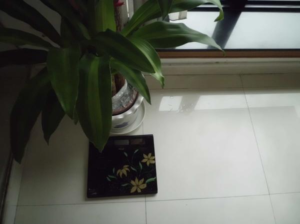Travel Weighing Scales with CE, RoHs